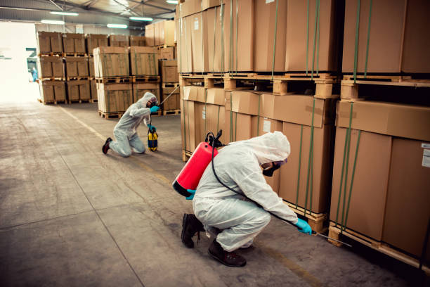 Best Pest Control Near Me in Thurmont, MD