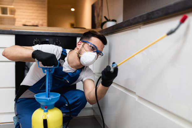 Best Mosquito Control Services  in Thurmont, MD