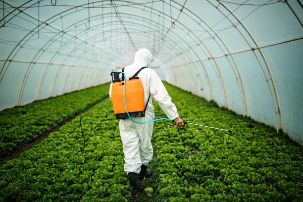 Professional Pest Control in Thurmont, MD