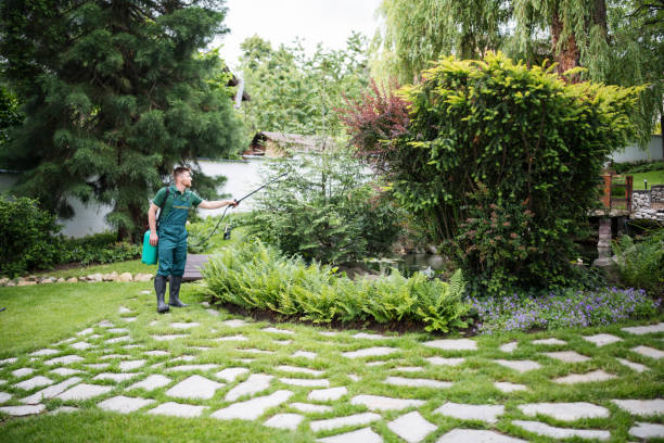 Best Exterminator Services  in Thurmont, MD