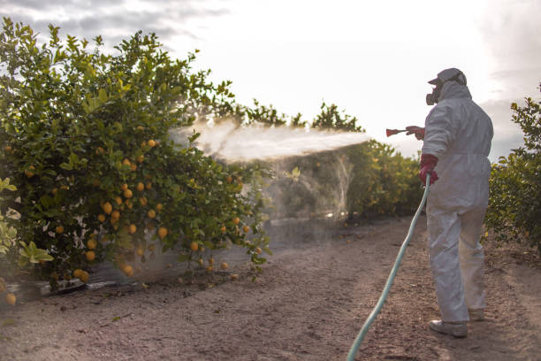 Best Local Pest Control Services  in Thurmont, MD