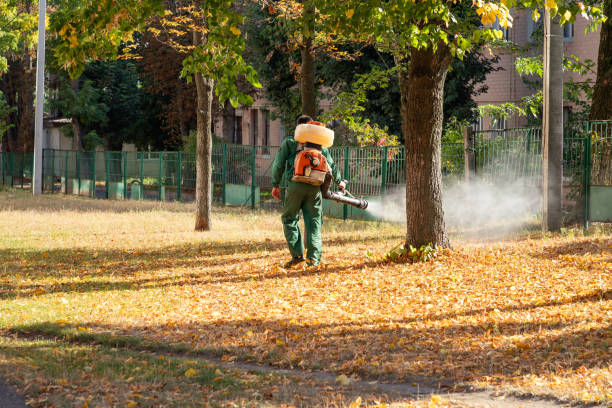 Best Flea Control Services  in Thurmont, MD