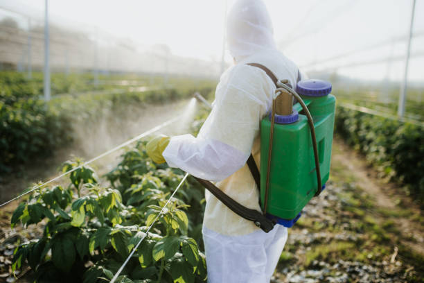 Best Pest Control Near Me  in Thurmont, MD